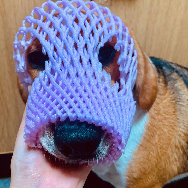 B0af9f31 d897 4d39 8d87 7d83d450de74 1563709827747