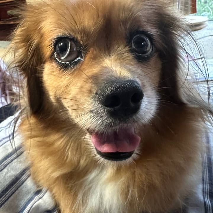 B0afaa5c c479 4585 8add 9b7fec185de5 1693862364059