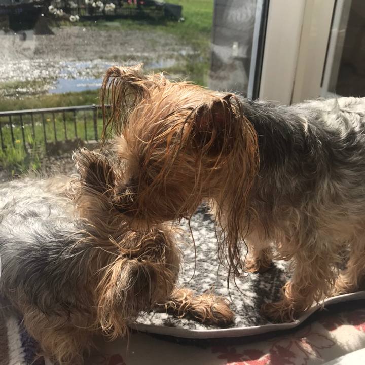 B0b024dd f17e 4661 b165 737e0634f4ee 1589365065807