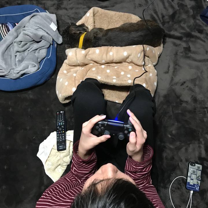 B0b07ceb d129 4706 ba3a 43c3eb66ac98 1547393840068