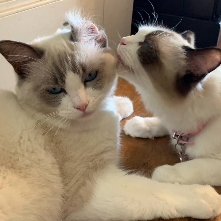 B0b08d25 1c1e 418b 9503 d85a4d07a970 1631501719168