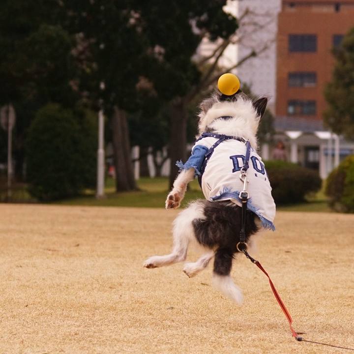 B0b0a03d ba71 4a67 8770 dbf9fa4c6f5d 1580726879130