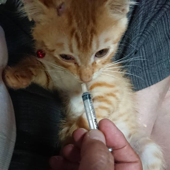 B0b0bb53 4134 4c1e 82d3 b01a99e2018d 1628508265411