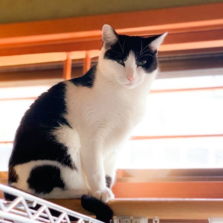 B0b112b4 dc07 4e85 9b8b ee366428be3b 1577847173830