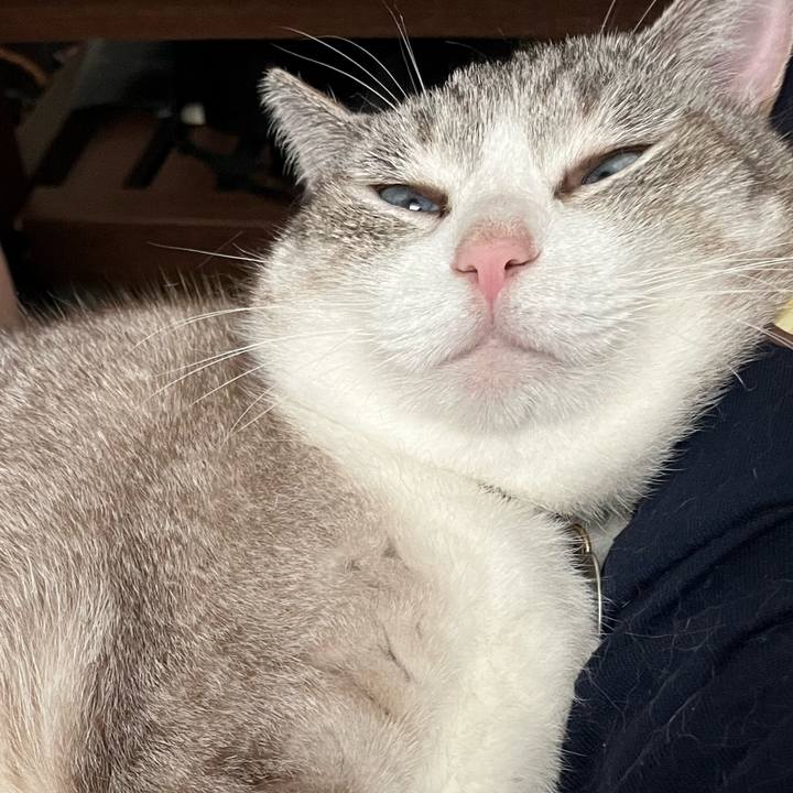 B0b14b0a fd5c 4cd0 8327 7194187c9401 1690091950617