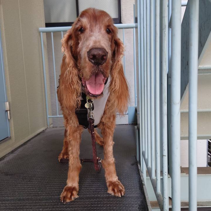 B0b163f3 1ec6 4fcf 9867 fe931765dc98 1715668194607