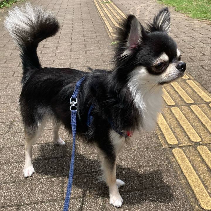 B0b1a14b 8bff 4557 8615 48b080b3194a 1624164040240