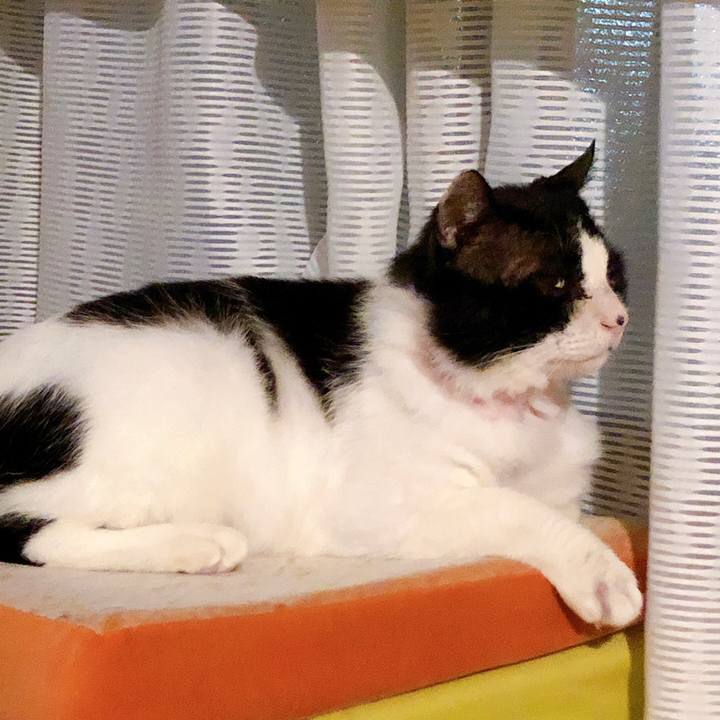 B0b1c177 803d 471d be16 1542fab0bd6d 1619185864173