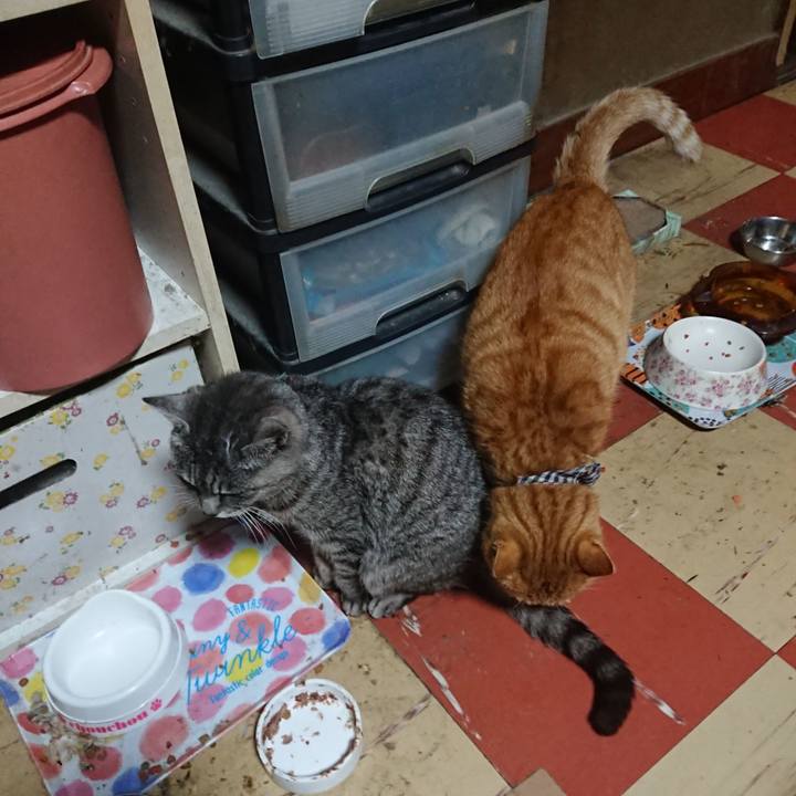 B0b22b45 1a6b 4e54 a192 c276a25111d7 1574412569147