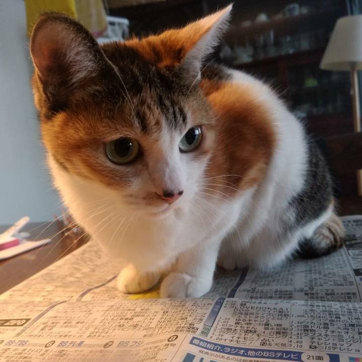 B0b28218 d915 40dc accc c49eb7b74d75 1611551482413