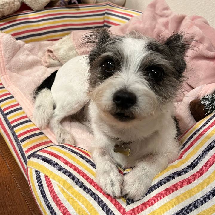 B0b293e2 de80 4125 866e efe8889b09fa 1764406165455