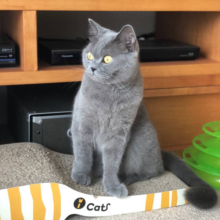 B0b29e59 59cb 4057 80a3 e45339afbcd3 1538185503021