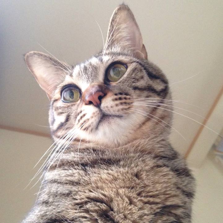 B0b2b52b 43b4 4dc6 93c6 b4955f572592 1510715548255