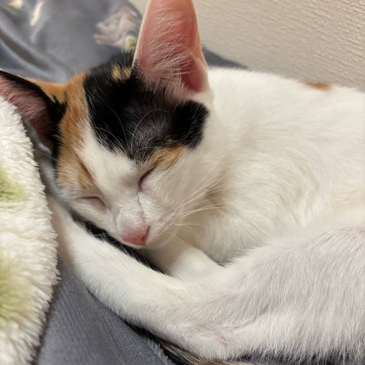 B0b2cc2d 8234 4e45 88de eab7b0ecda4f 1758703615787