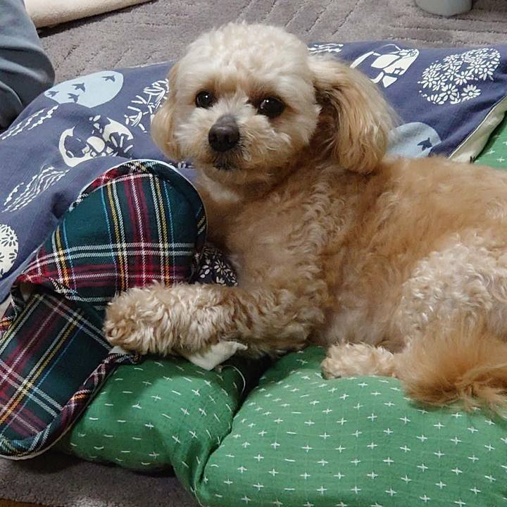 B0b2f033 c063 49a9 90d2 5df67c98d646 1622115592894