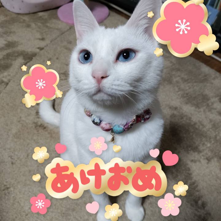 B0b2f6d6 7a16 4c48 90e6 b0d6b8afedea 1672499861207
