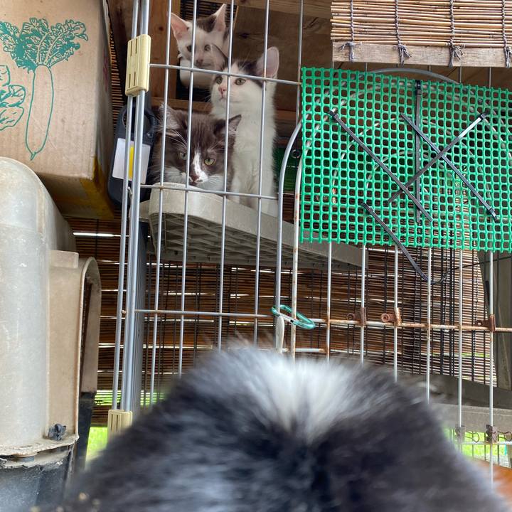 B0b3094b 8908 402c a297 b43a58d5beff 1688268564162