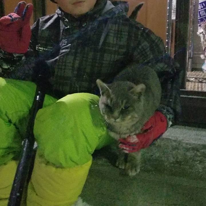 B0b30c88 7c7f 4426 9fc5 b0d313b383ab 1512520127103