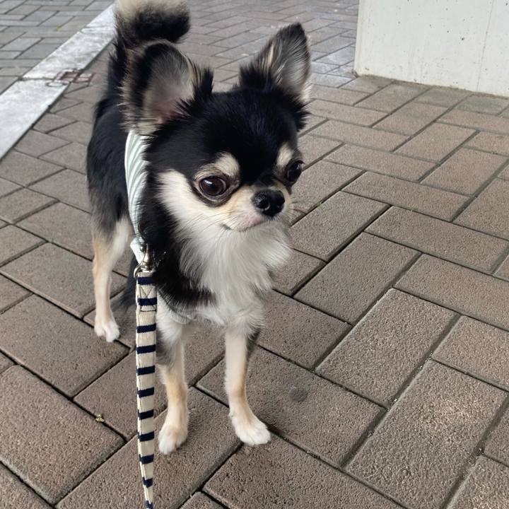 B0b322b7 aecb 41fa 9c30 49e55cd54667 1619238174579