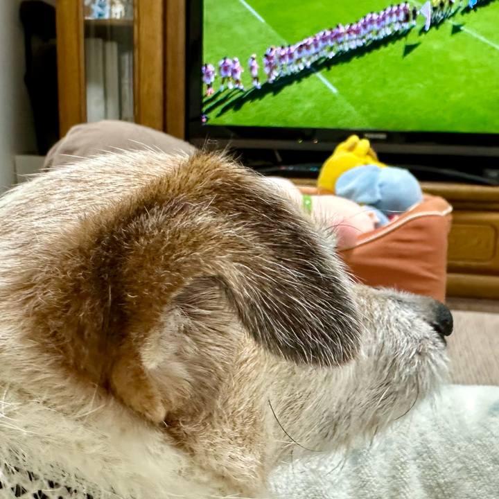 B0b32e55 afd0 4462 91fa 8da964f810fd 1696763036348