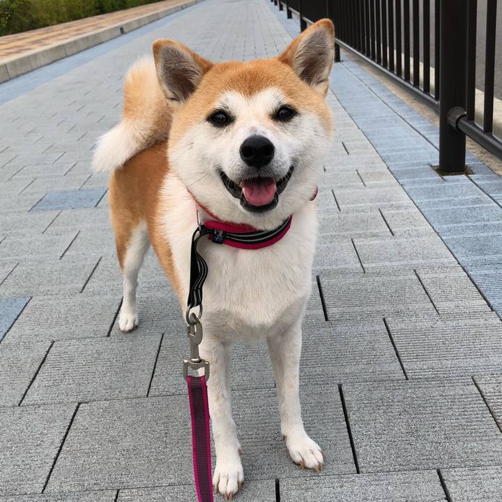 B0b33d8a eb99 4d74 816b 7094a98bc841 1531440791901