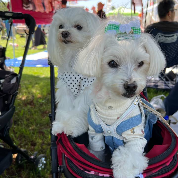 B0b34b1e 5ca7 43cb 8bcb cf7f1cbb694a 1714364435449