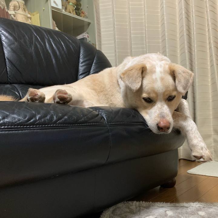 B0b39c9a 4729 449a 95f8 2e7109390c20 1556541864094