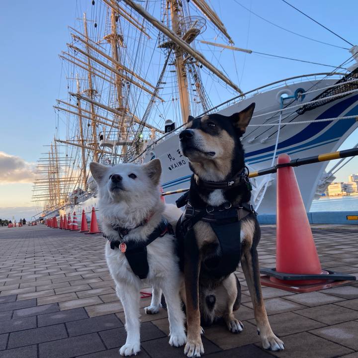 B0b3ff3f 0660 4280 a540 e3192d894921 1705799322877