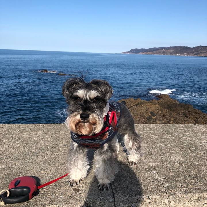 B0b407cd ce66 491a 8718 a099870769f8 1582977168244