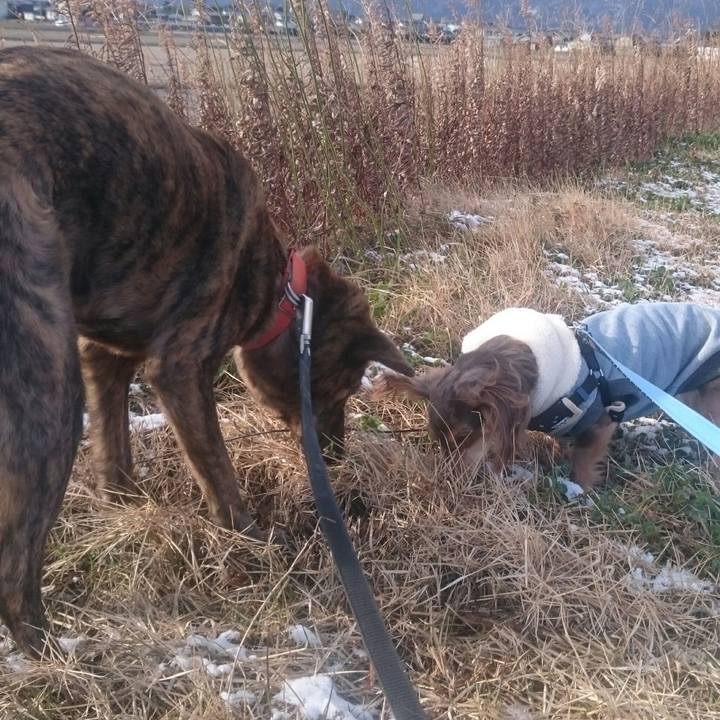 B0b4238e 9f42 4bb2 b20e 12ab7ad30e82 1518398293202