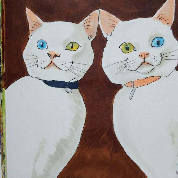 B0b47821 7a19 4b07 b72d 99ba649bcec8 1538229533538