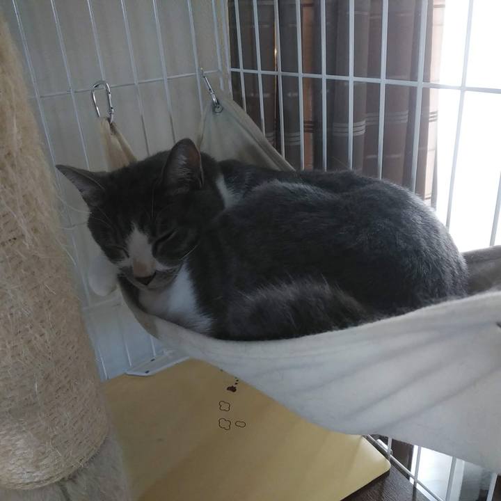 B0b4b82b 8ab2 49d3 b86e 8d848df8d38e 1633419402481