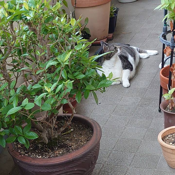 B0b4f652 d281 41b7 858a 4d15cf3aec17 1662328959777