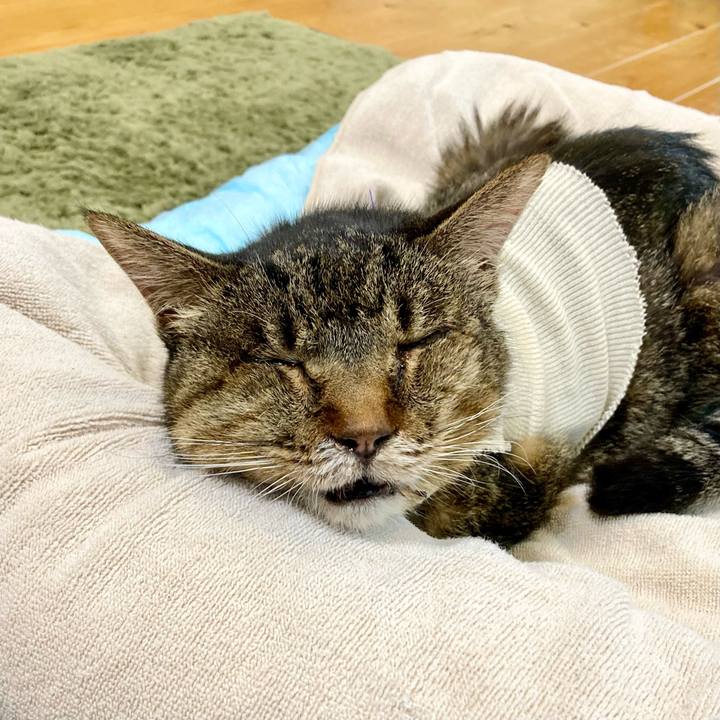 B0b51c64 e413 4120 be9b 8059b2ba881e 1688622811381