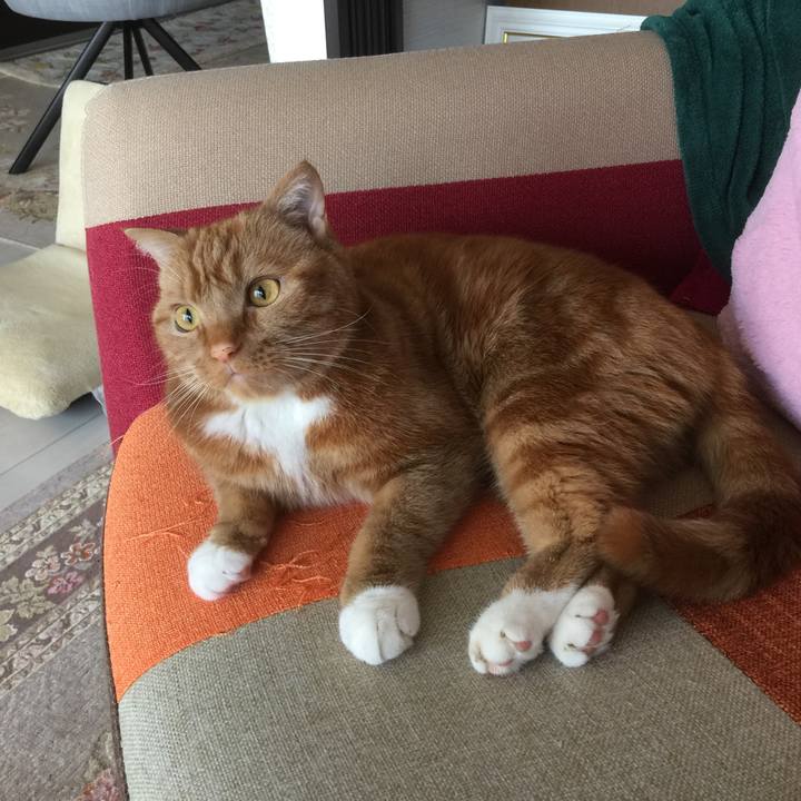 B0b54f04 faea 4e86 b300 f1c90f03548c 1556332155572