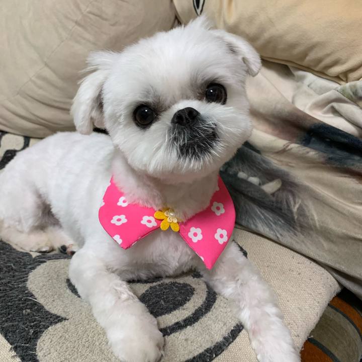 B0b553fe 4343 4cc5 ac16 1a17a8395e92 1648978436261