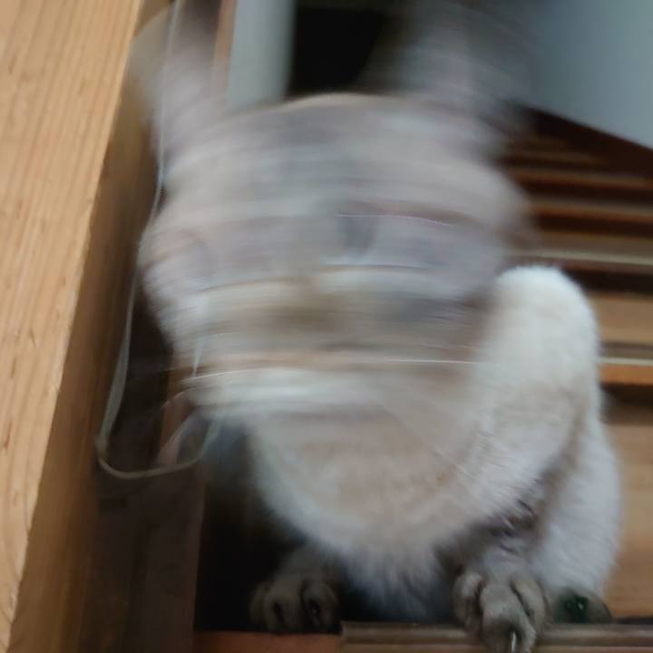 B0b59c69 b0eb 4cbf 9c60 a1e01d90004f 1628428639233