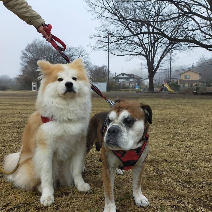 B0b5b50f 69c2 46ec a39f e36a7db11ca6 1647691272904