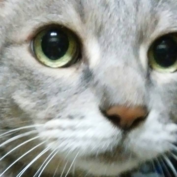 B0b60d15 1777 4dc3 b948 cea6e89bd5a1 1570836084626