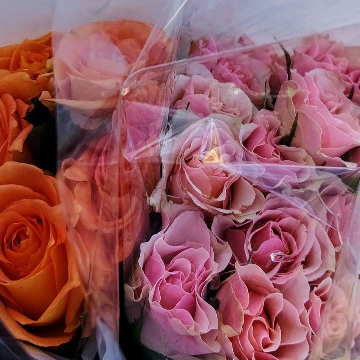 B0b63d27 159a 478b 898f e561ca05e8c0 1576299010531