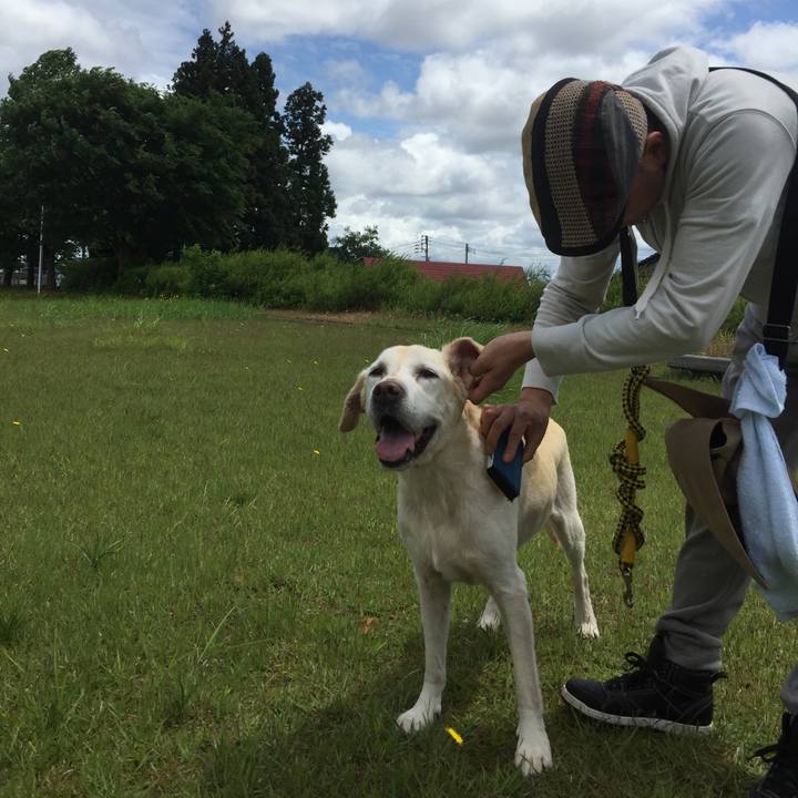 B0b68578 4ea8 44f2 9d16 a43624edc697 1567946136186