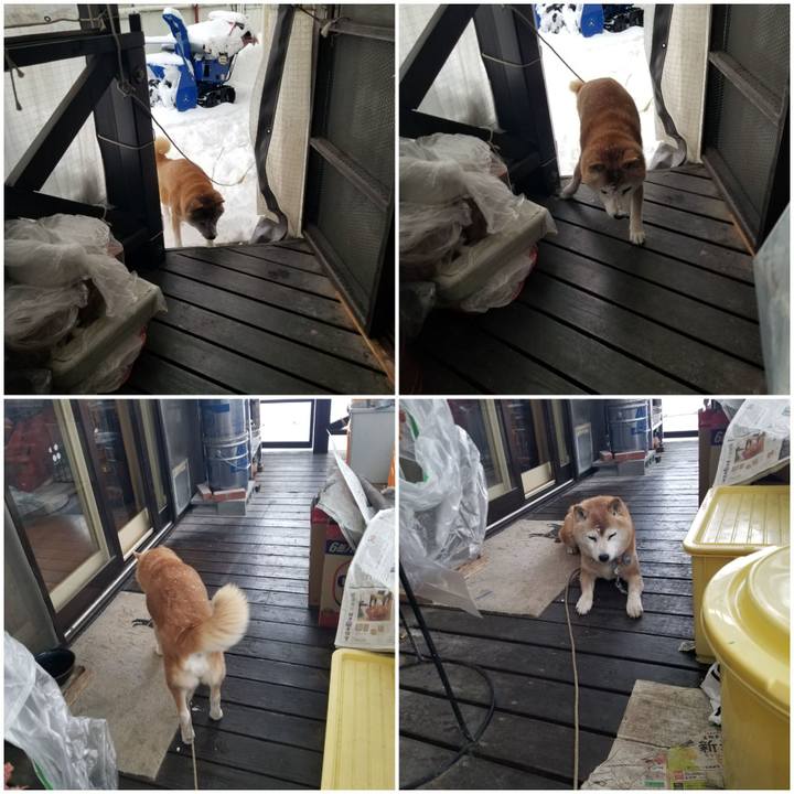 B0b69720 63c8 4698 a76e 238912d73bef 1740351384146