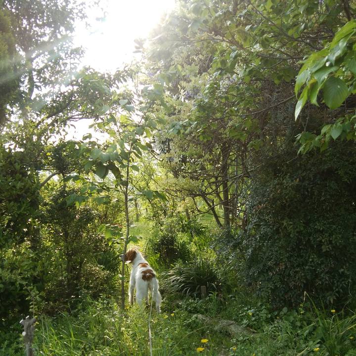 B0b6a65e 22ba 44f3 94de 7098ffe40dd8 1523497137252