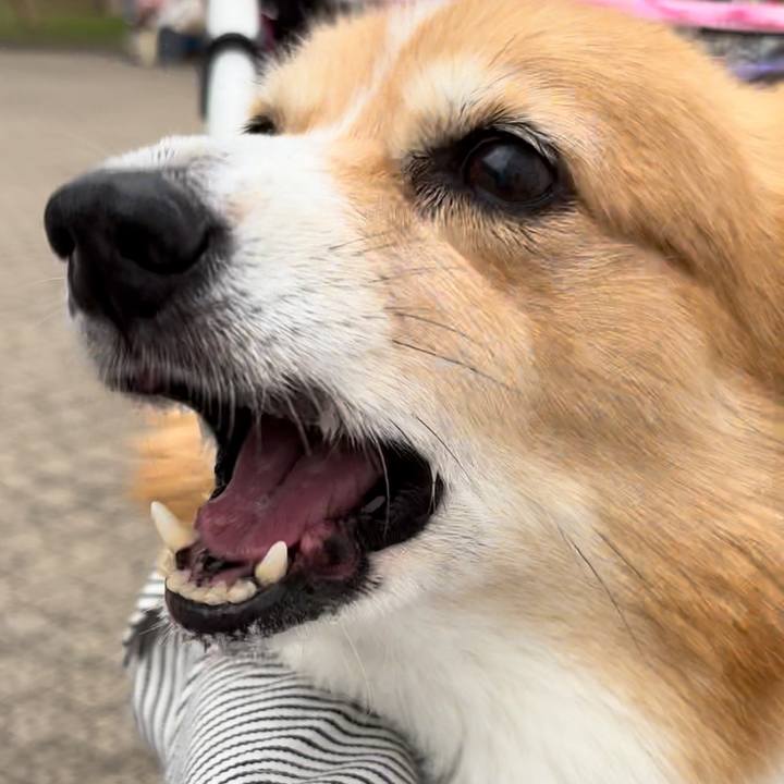 B0b6cb19 b963 4585 89d8 000d60c41a59 1730012898802