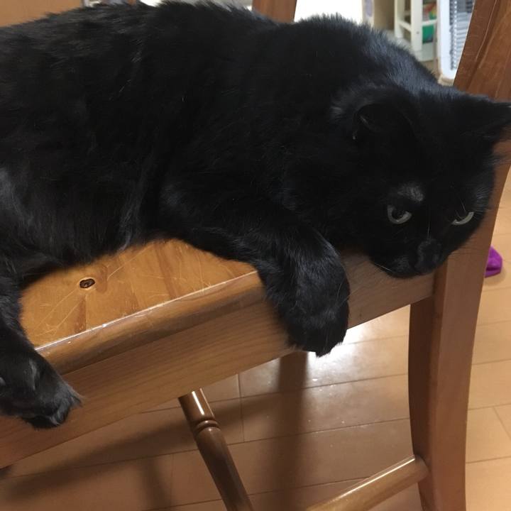 B0b74d61 09f8 40d5 bfa9 b1af7c37a1e5 1525182517895