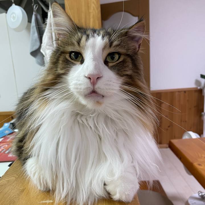 B0b74f77 1d31 4e43 b18f 496a945a7f31 1673812904238