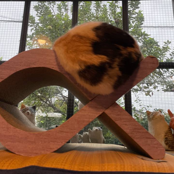 B0b78632 f941 4387 831c 579c104e8256 1694127163028