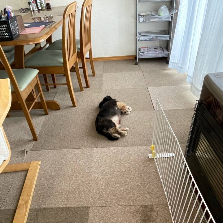 B0b79b70 fe56 450c a013 c82fed5eaf2e 1621127597748