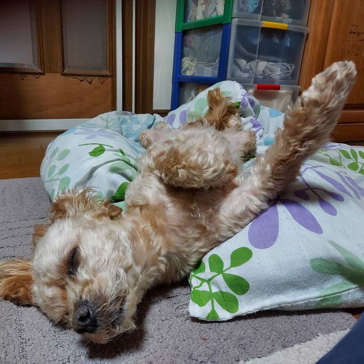 B0b7a5b0 1fb0 4ad3 87a9 b73a6c7d2335 1711433727145