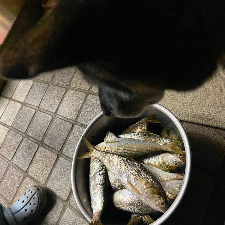 B0b7caee 0b6c 47ba 9deb b9431331dccd 1636282454923